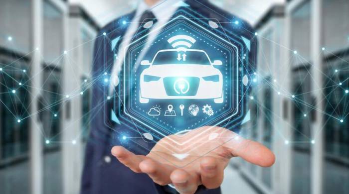 Promising Bull Market Sectors with Bright Prospects!
